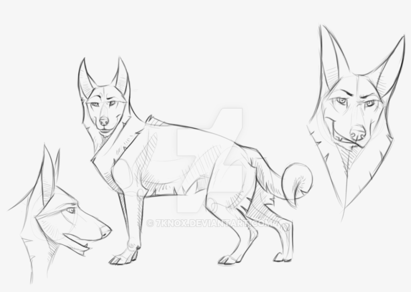 Drawn German Shepherd Line - Line Art, transparent png download