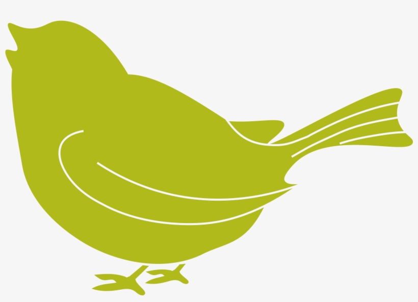 I Need Help With A Baby Bird, transparent png download