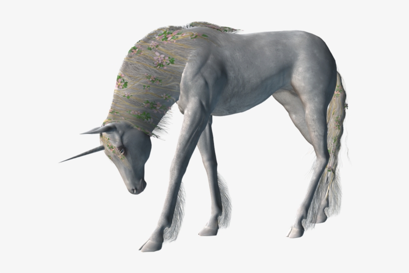 Unicorn, transparent png download