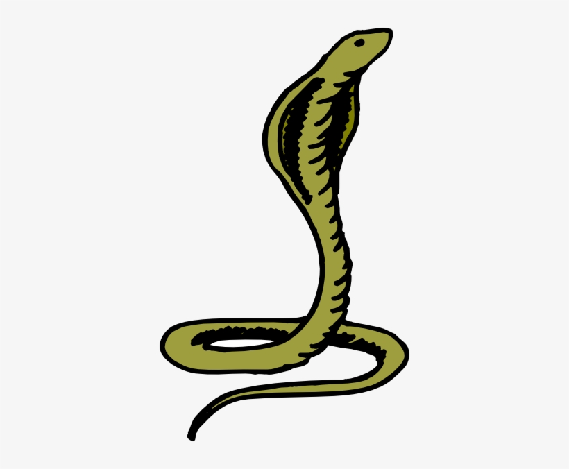 Green Cobra Clip Art At Clker - Rắn Hổ Mang Xanh, transparent png download
