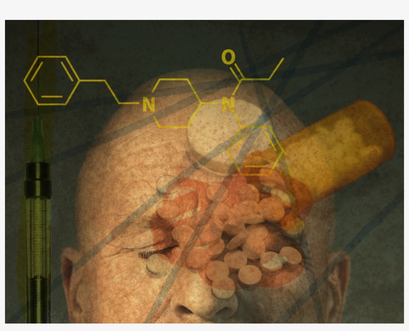 Alissa Scheller/the Huffington Post - Still Life Photography, transparent png download