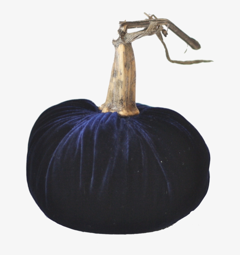 Midnight Blue Velvet Pumpkin With Real Stem - Pumpkin, transparent png download