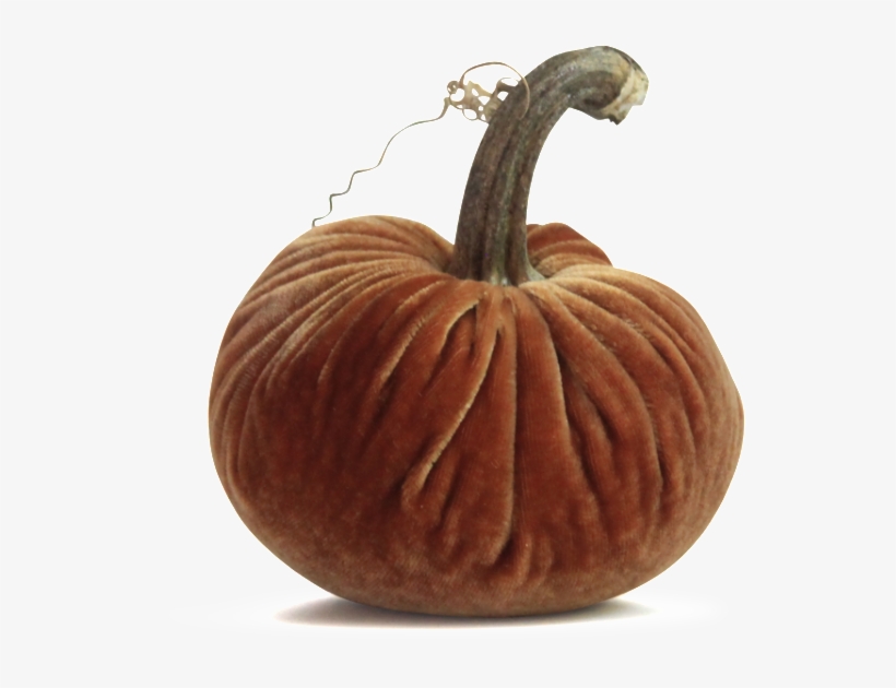 Original Plush Pumpkins - Pumpkin, transparent png download