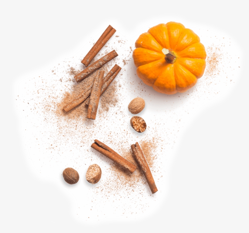 Pumpkin Spice - Still Life Photography, transparent png download