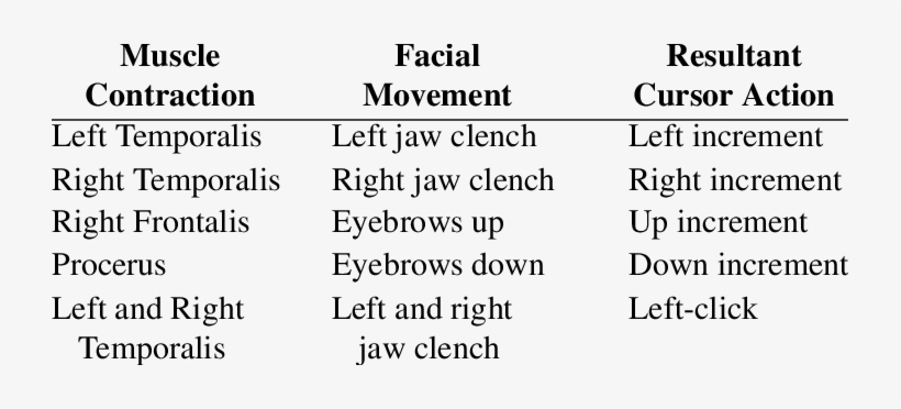 Relationship Between Muscle Contractions And Resultant - Raritan Bay Medical Center, transparent png download