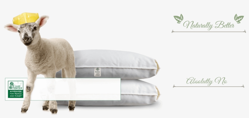 Natural Wool For Pillows & Mattresses - Dermedik Placenta Extract 100% Hyaluronic Acid Vitamin, transparent png download