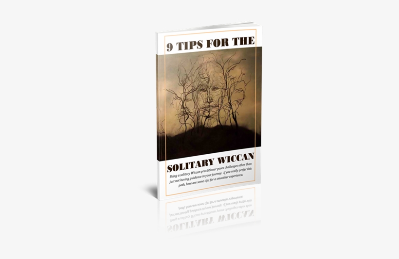 A79bcd8cc0cb1489455907 9 Tips For Wiccans Cover 3d600 - Poster, transparent png download