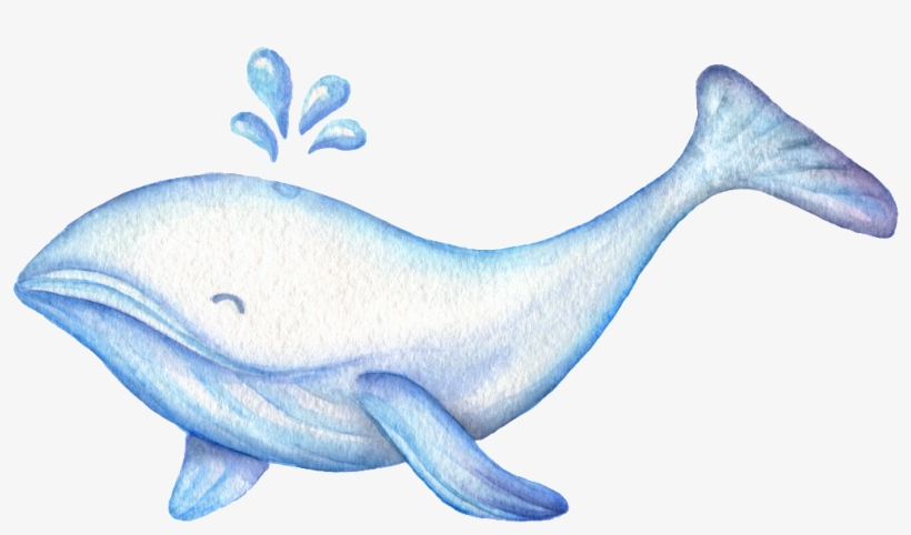 Hand Drawn Cartoon Cute Whale Transparent Animal Png - 鯨魚 插畫, transparent png download
