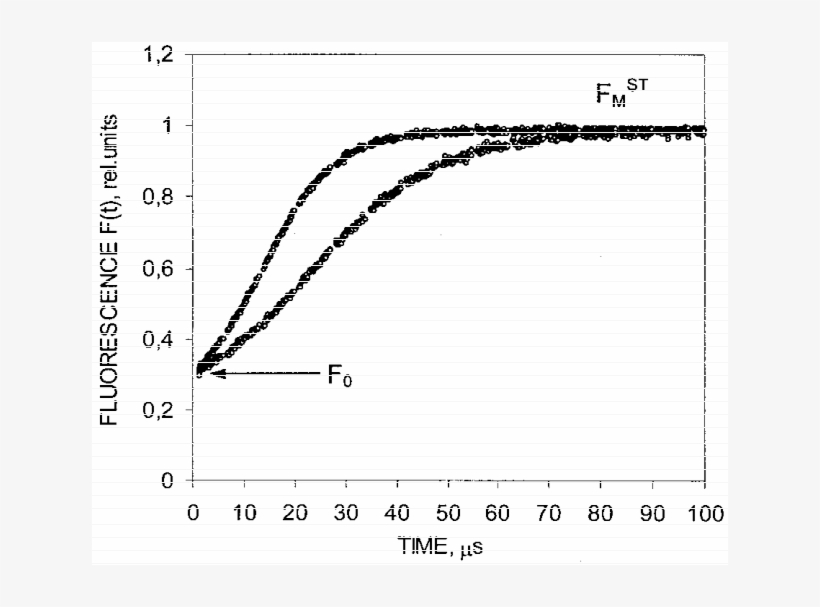 Flash Fluorescence Induction Of Scenedesmus Quadricauda - Plot, transparent png download
