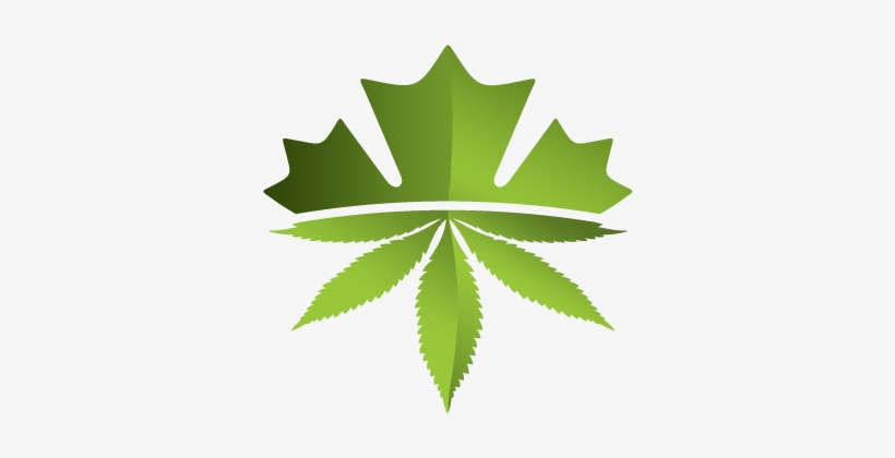 Leaf - Benchmark Botanics Logo, transparent png download