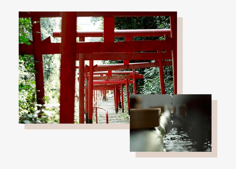 Futaba No Sato Historical Walking Trail Futaba No Sato - Futabanosatorekishinosanpomichi Bus Stop, transparent png download