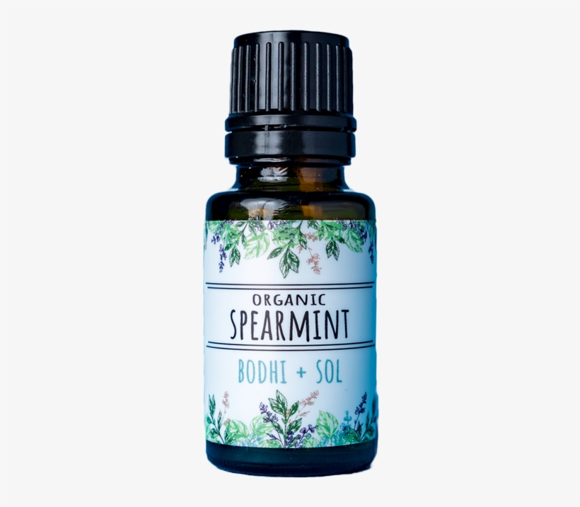 Parsley, transparent png download