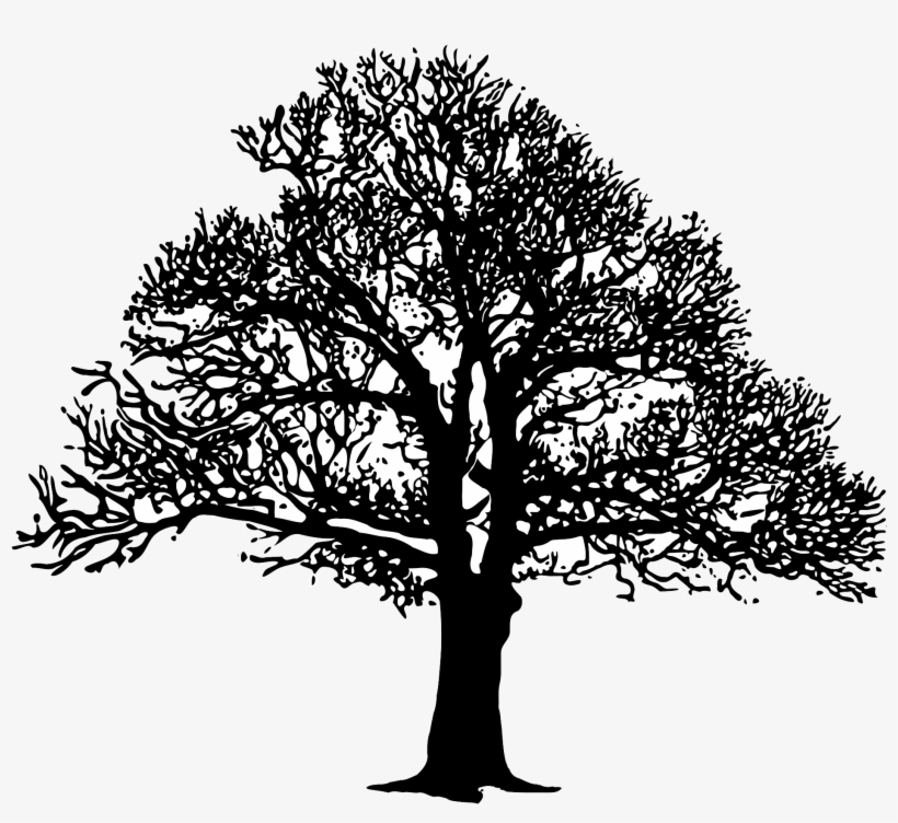 Big Image - B&w Png, transparent png download