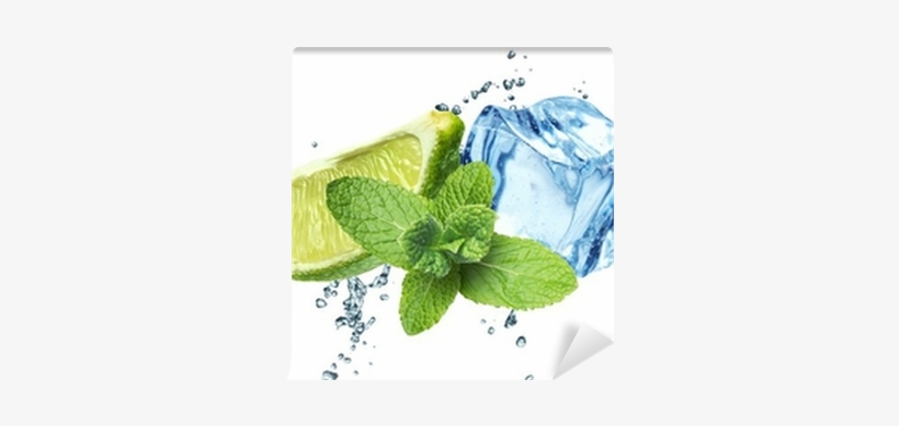 Venta 6018000 Air Purifier Accessory, transparent png download