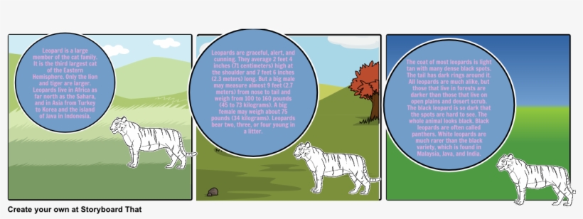 Choose How To Print This Storyboard - Siberian Tiger, transparent png download
