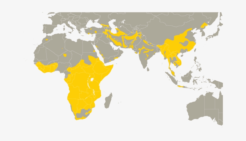 Range Map - Mudpuppy Where Do They Live, transparent png download
