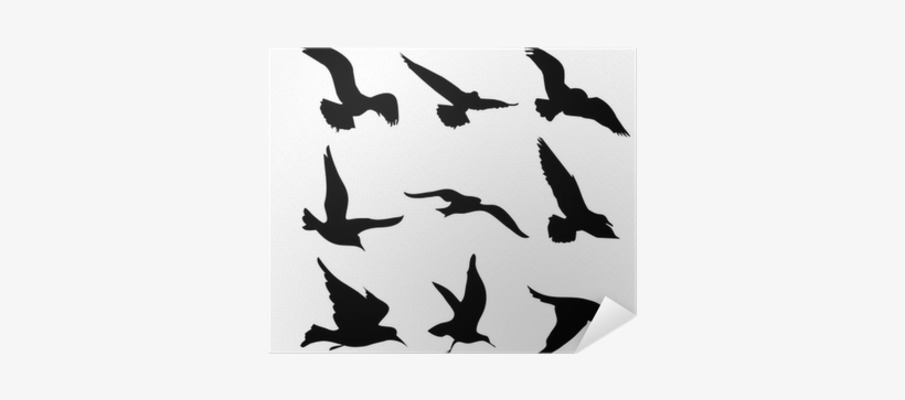 Flying Birds Silhouettes Illustration Poster • Pixers® - Sagome Uccelli In Volo, transparent png download