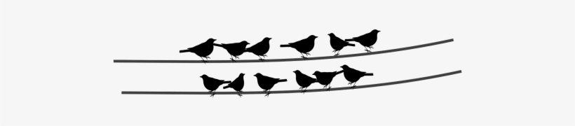 Birds,wire,cable,sitting Birds,free Vector Graphics - Bird Silhouette, transparent png download