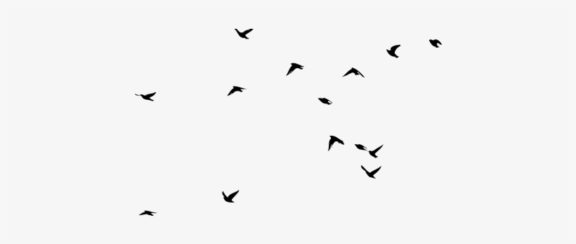 Currently Growing With Us - Bird, transparent png download