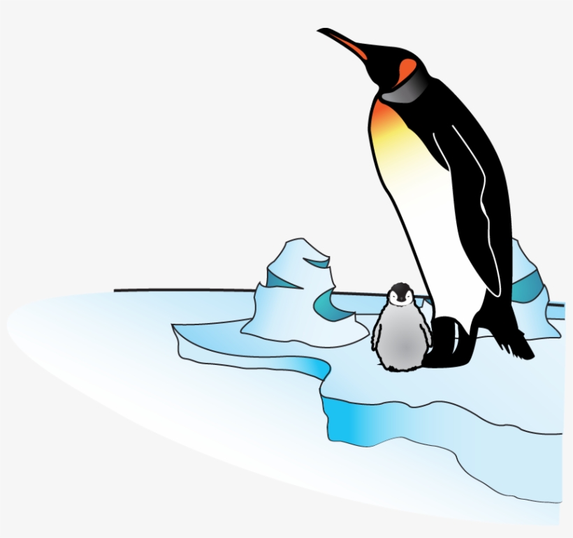 Vector - Png - Penguin Vector, transparent png download