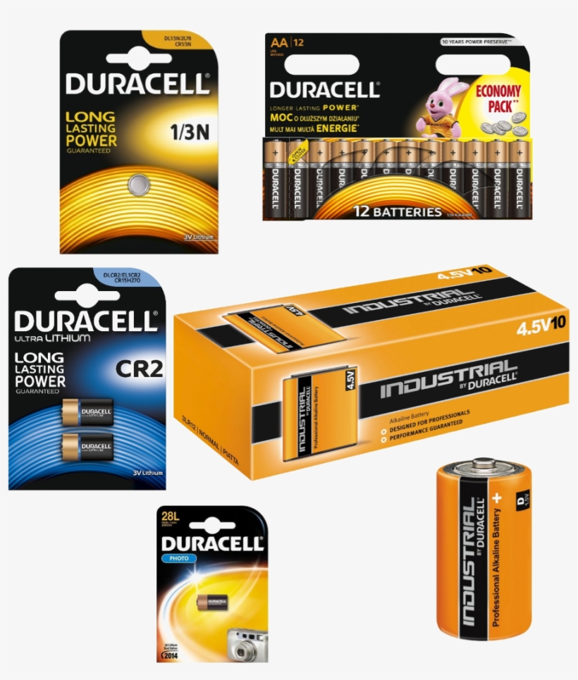 Button Cells Help You With Small Energy Problems In - Duracell Basic Aa 12 Pcs Battery, transparent png download