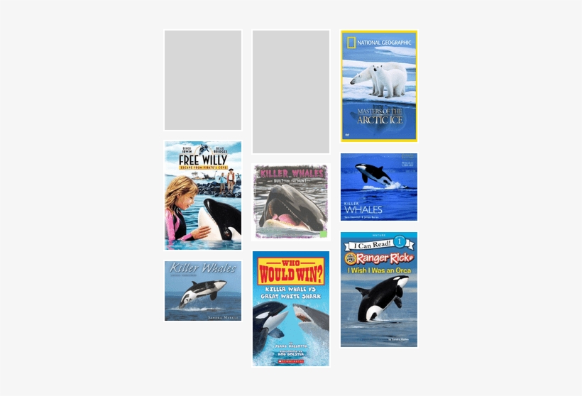 Orca Lapbook - Free Willy: Escape From Pirate's Cove (dvd Video), transparent png download