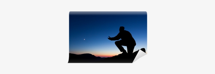 Wallpaper, transparent png download