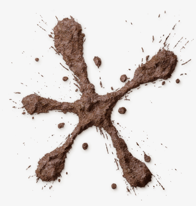 Featured Image - Still Life Photography, transparent png download