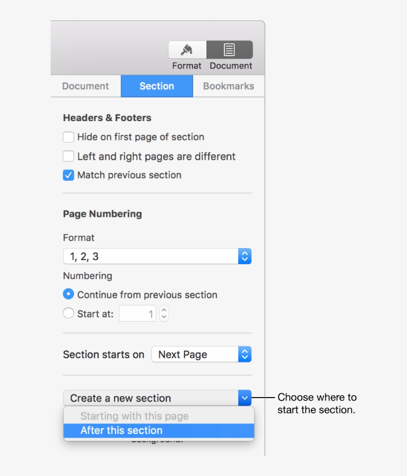 The Section Tab With Controls For Headers, Footers, - Modele De Section Mac, transparent png download