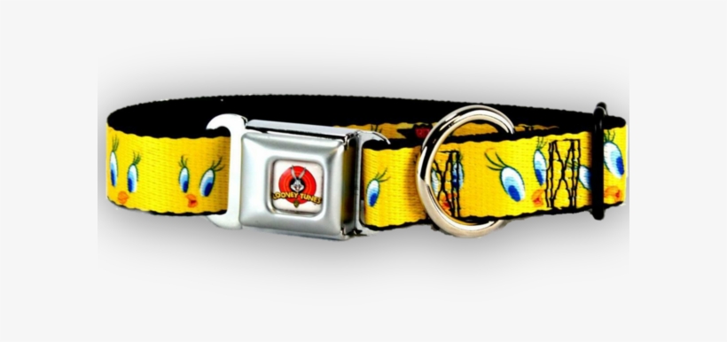 Buckle, transparent png download