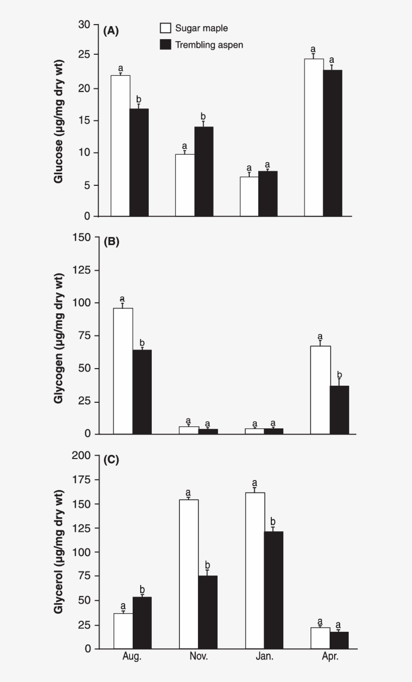 Glucose , Glycogen (b), And Glycerol (c) Levels (mean - Forest Tent Caterpillar Moth, transparent png download
