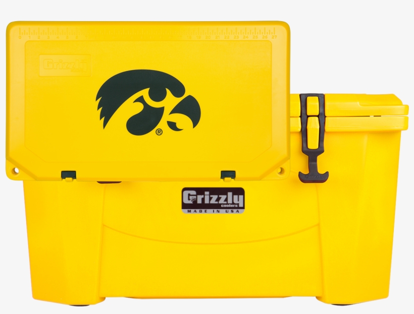 G60 With Iowa State Graphics Grizzly 20 Quart White/cooler By Grizzly