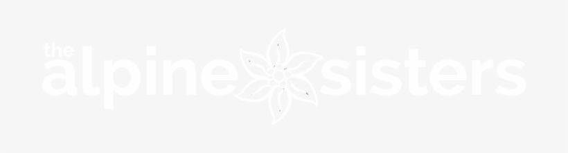 Home Thealpinesisters 2017 10 07t16 - Jeff Bezos Work Hard Have Fun, transparent png download