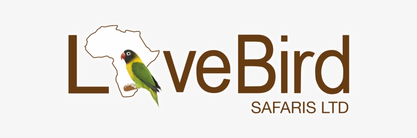 Travel - Keep Safe On The Internet, transparent png download