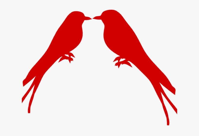 Bird, transparent png download
