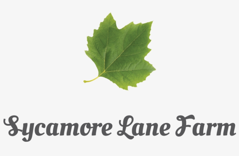 Elegant, Personable, Agribusiness Logo Design For A - Faezeh Name, transparent png download