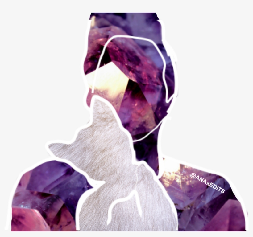Joey Graceffa And Baby Wolf - Daily Journal - Purple Amethyst: 6" X 9, Lined Journal,, transparent png download