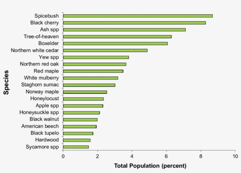 the 20 Most Common Tree Species As A Percent Of The Education PNG
