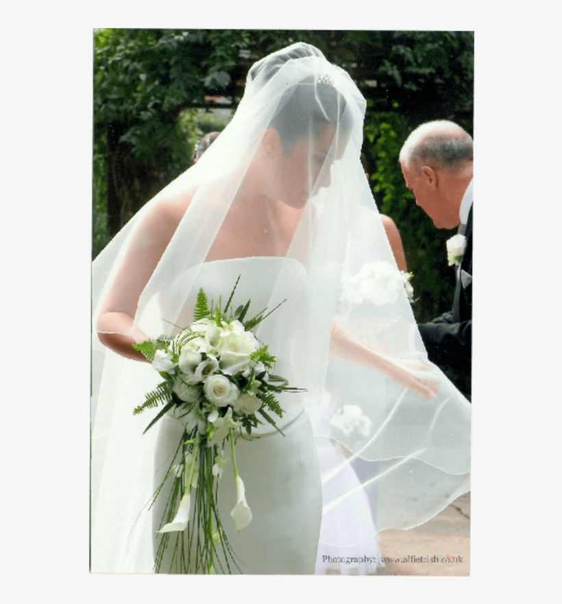 Veil, transparent png download