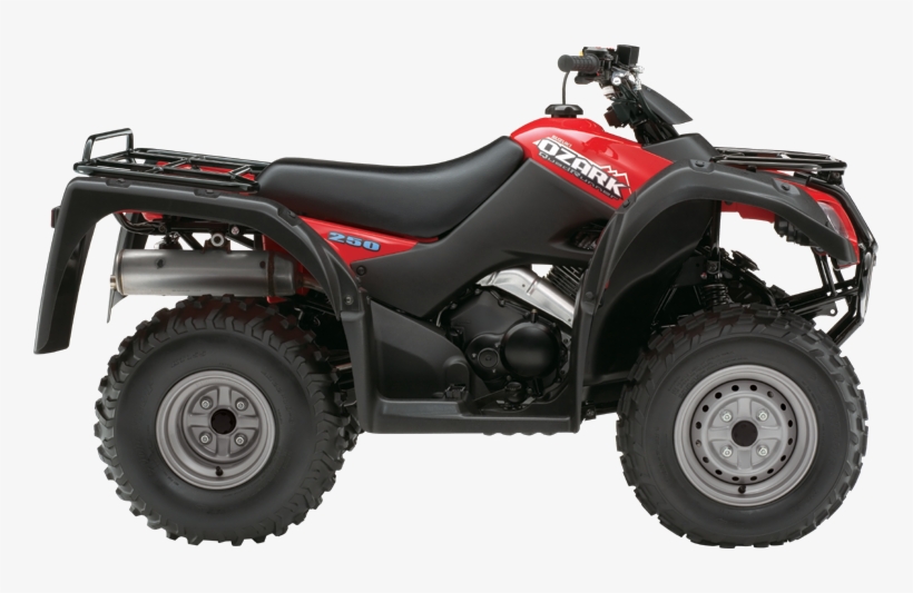 Share This Image - Suzuki Ozark 250 2015, transparent png download
