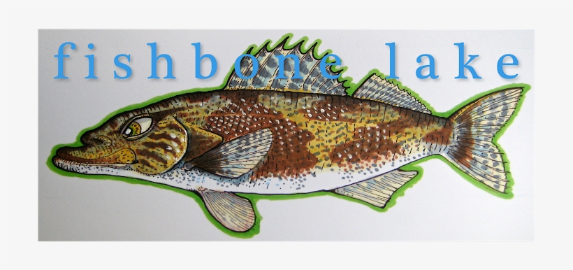 Monday, January 2, - Arbogast Hula Popper, transparent png download