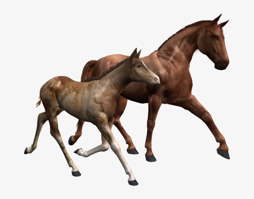 Share This Image - Heartbreaker Breyer, transparent png download