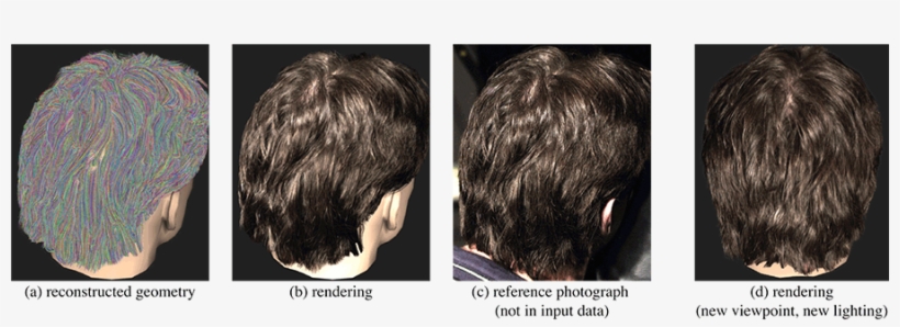 Our Method Acquires Photometric And Geometric Models - Hair Geometry, transparent png download