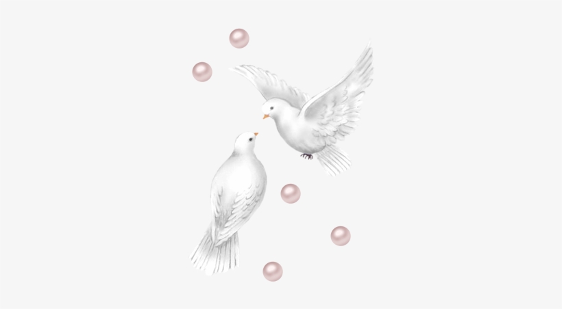 Colombes - Transparent Png Wedding Doves, transparent png download
