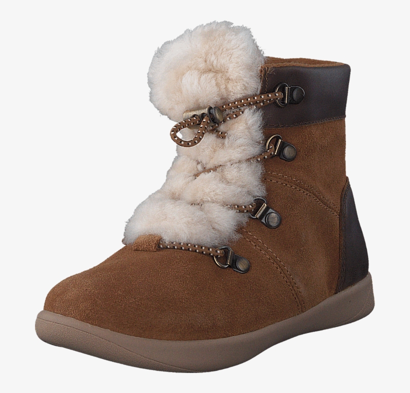 Shop Our New Collection & Classics Discount Sale With - Ugg Australia Ager Chestnut, Schuhe, Stiefel &, transparent png download