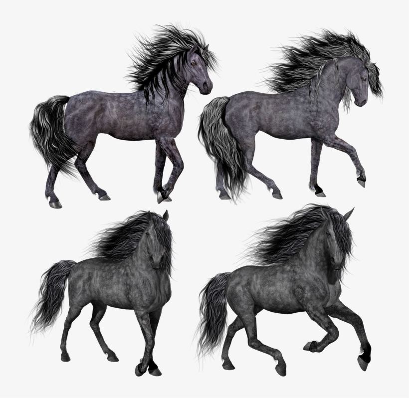 Horse, Pony, Mare, Stallion, Isolated, Black, Grey - Horses Png, transparent png download