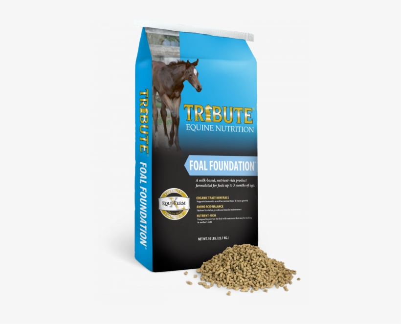 Kalmbach Feeds Tribute Kalm 'n Ez Textured, transparent png download