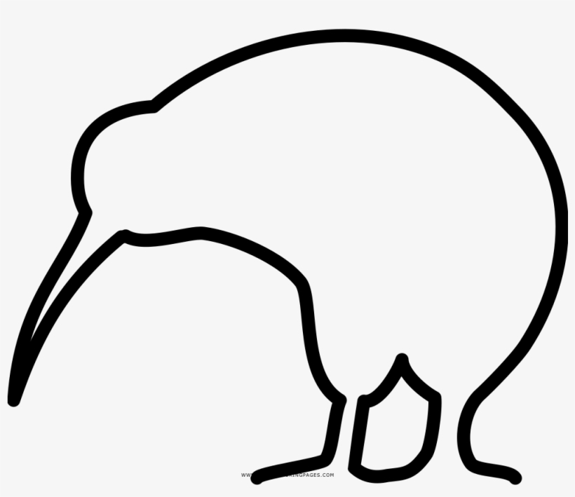 Kiwi Bird Coloring Page - Icon, transparent png download