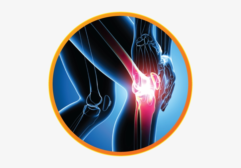 joint pain relief patient guide to unnecessary knee surgery png image transparent png free download on seekpng joint pain relief patient guide to