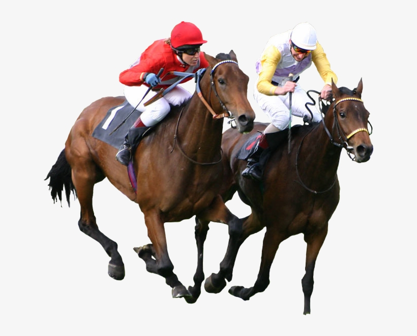 Com - Horse Racing Png, transparent png download